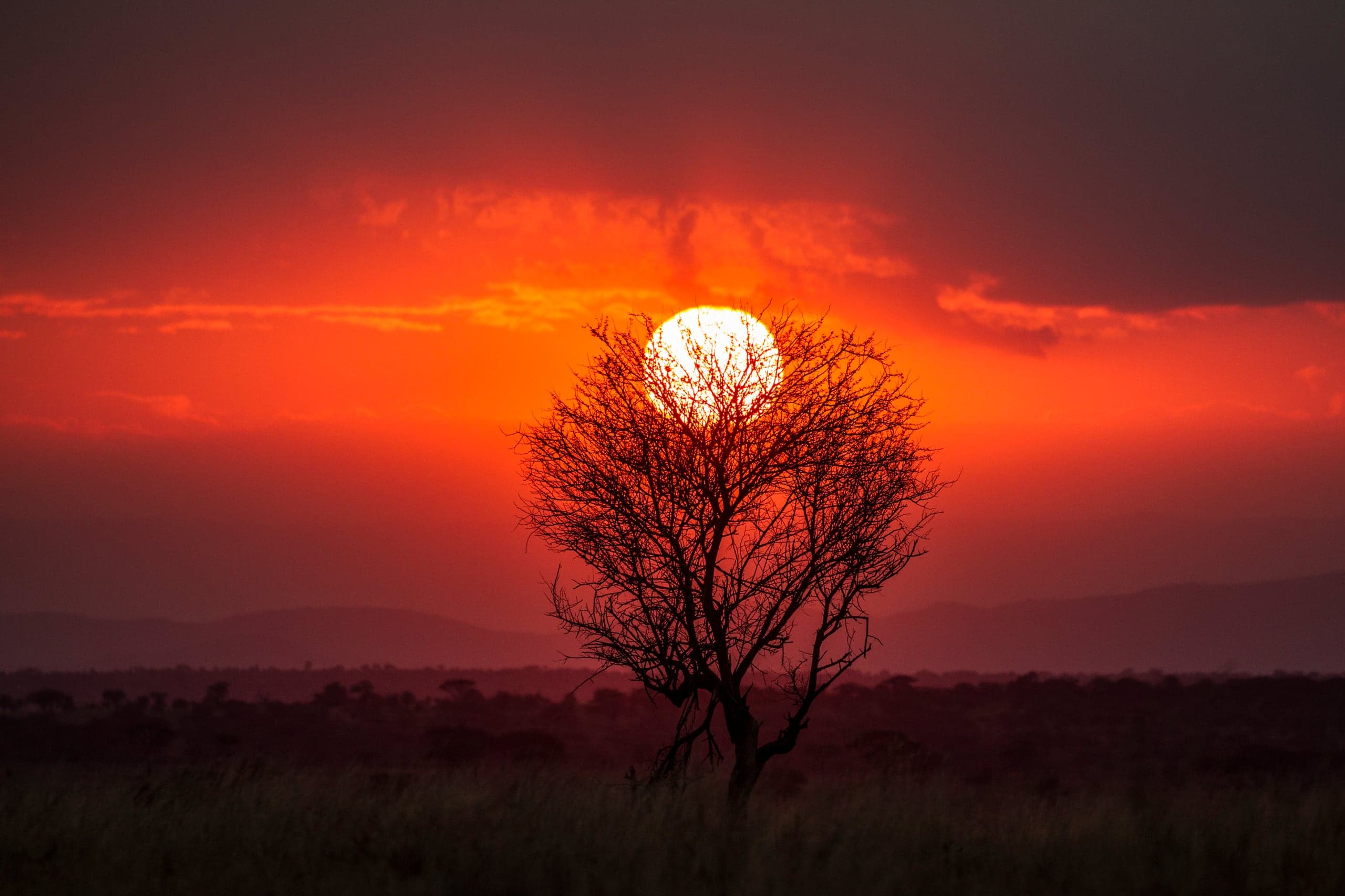 African sunset over the savannah