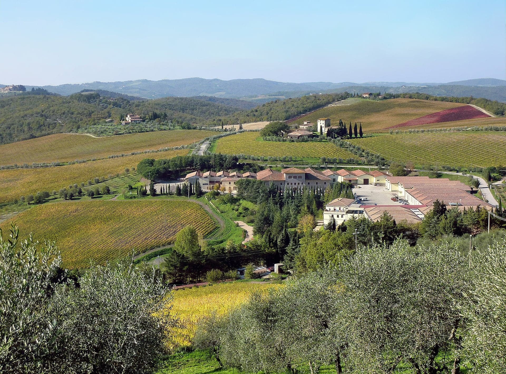 Tuscany Wine Journeys