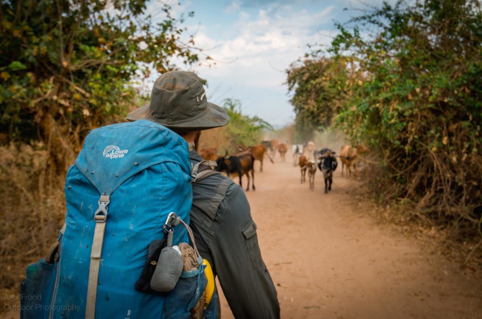 The Wildest Journey: Walking the length of the Zambezi